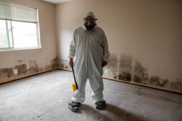 Best Mold Removal Process  in Vinton, TX